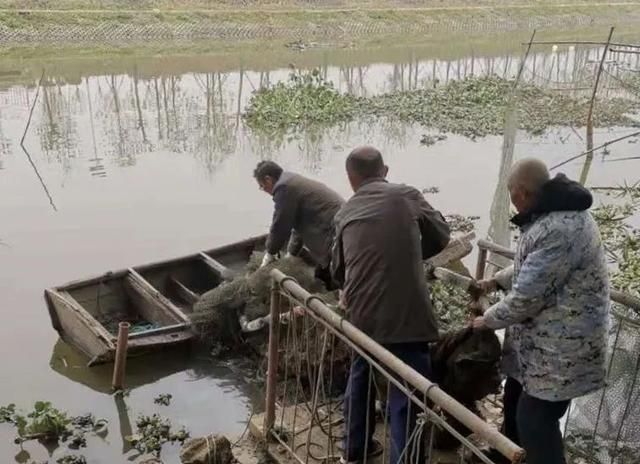 保护母亲河,蔡甸侏儒山街干群齐努力