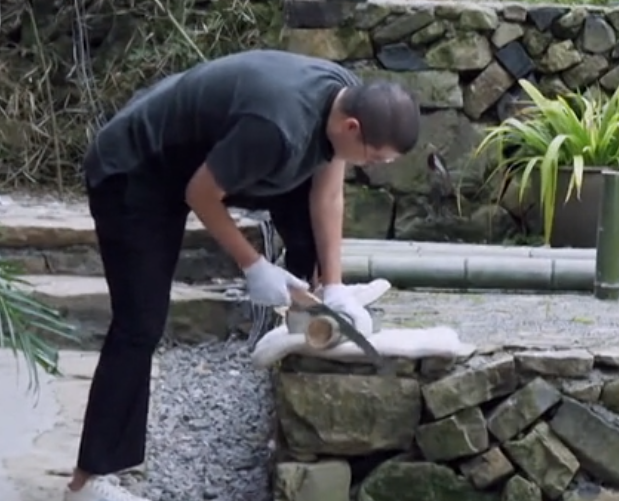 幸福三重奏神秘嘉宾做客却是被套路来的还被吴京现场点名