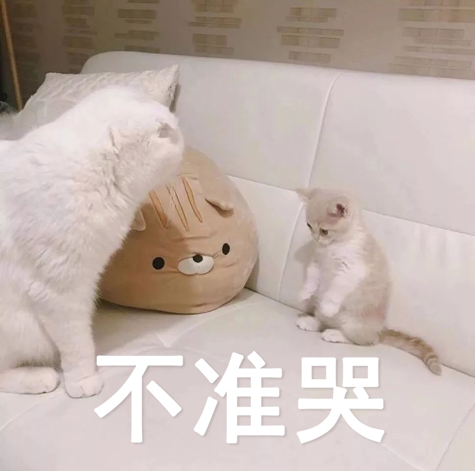 "我是你家长"表情包,来看看这几句话是不是对你有血脉压制?