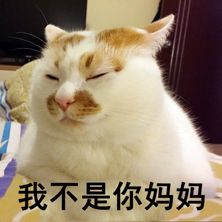 表情包|父母|血脉_新浪新闻