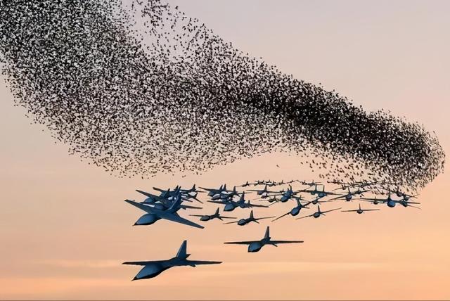 美军打算拿自杀无人机蜂群,打大国之间的战争,可行性多大?