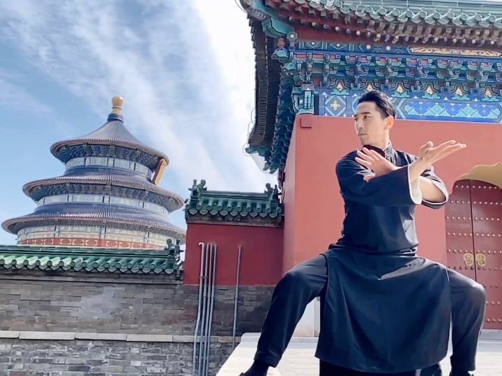 为您推荐: 太极:赵文卓重伤之下,用太极接下第