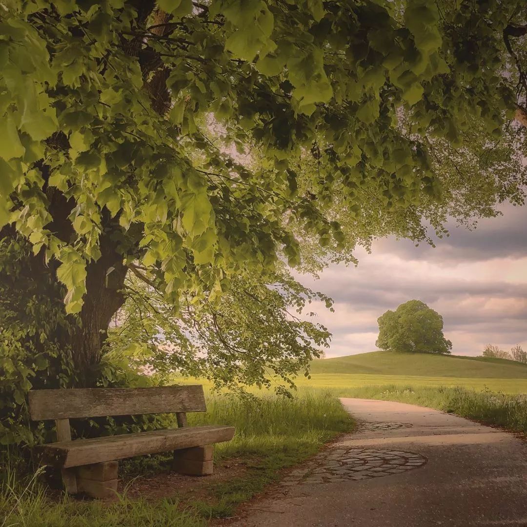 居然全是手机拍摄!超向往这些诗意的宁静生活