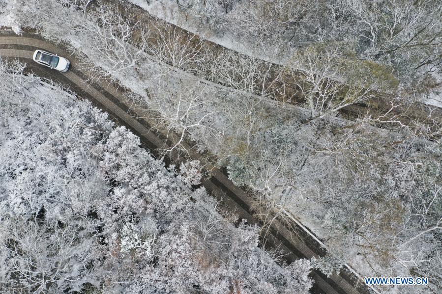Aerial photo taken on Dec. 14, 2020 shows the snow scenery of the Zijin Mountain in Nanjing, east China's Jiangsu Province. Snow has fallen in many parts of the country in recent days. (Photo by Fang Dongxu/Xinhua)