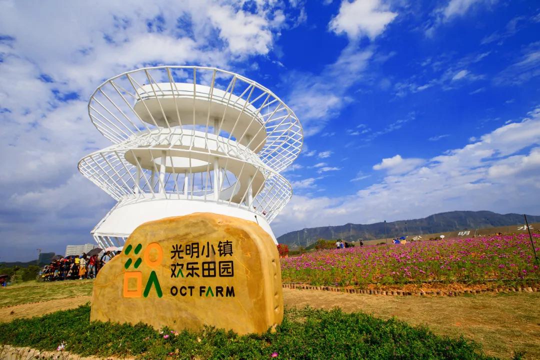 冬日里忆乡愁,华侨城以文旅绘就"诗和远方"|海南|田园|华侨城_新浪