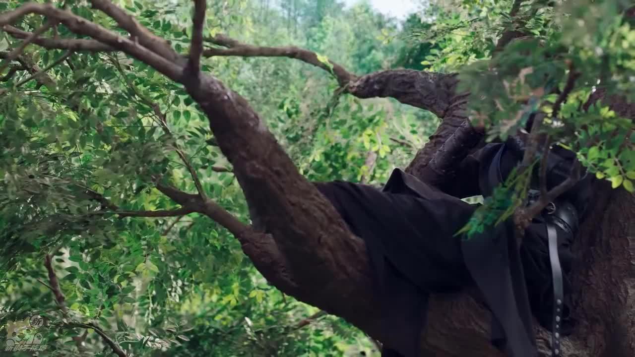 文藝精神病患者  关注 免流量看视频 收藏 超清