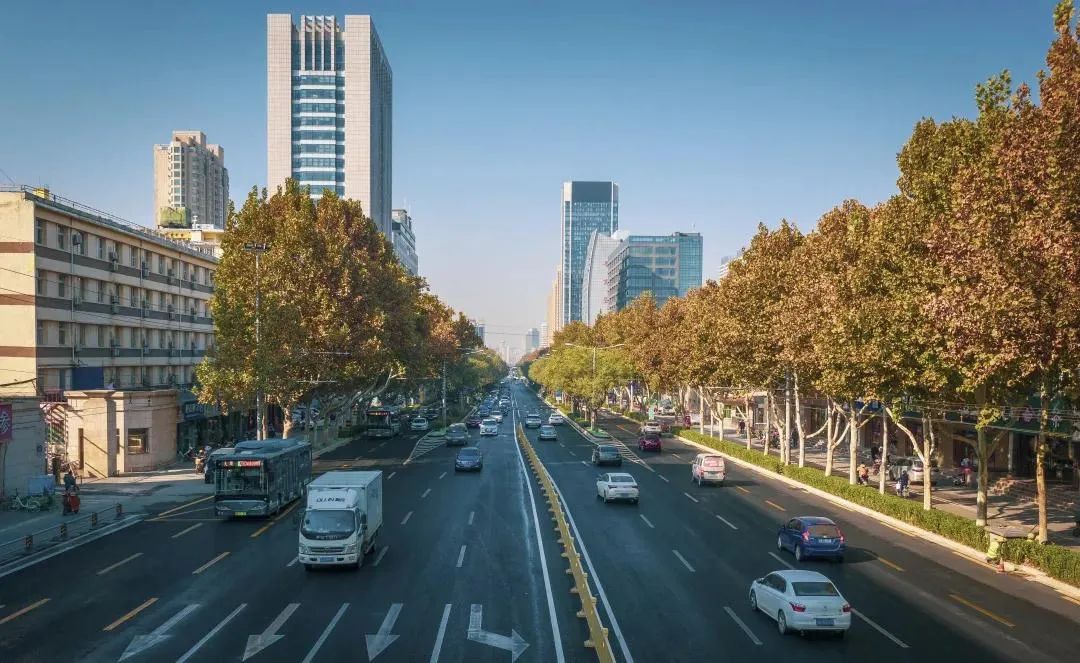 完工济南最美梧桐大道亮相