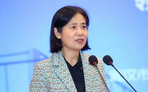 巡视组在鄂受理信访结束当天,武汉女副市长落马