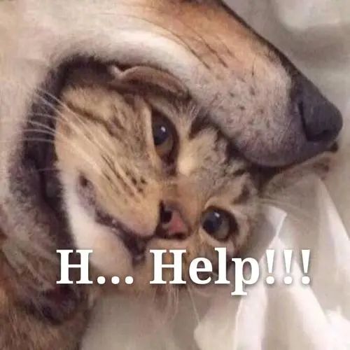 吓人！厦门一女子半夜醒来感觉床在晃，还有脚步声，一个动作救了她休闲区蓝鸢梦想 - Www.slyday.coM