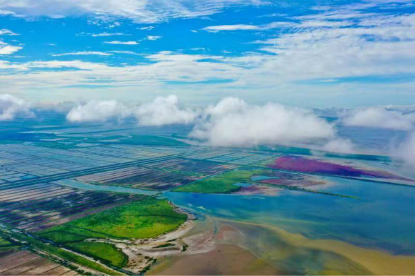 打造康养产业新标杆,长三角(东台)康养小镇在南京成功签约