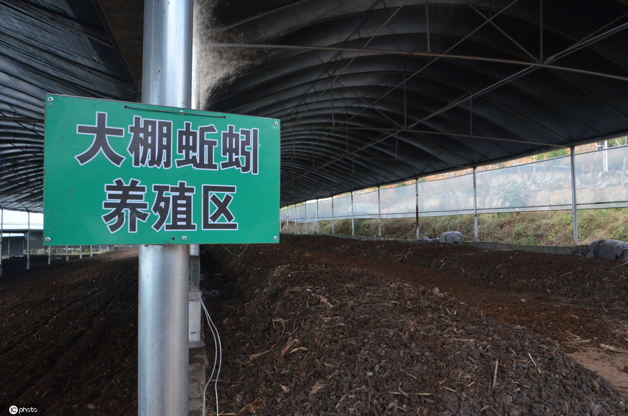 2020年12月13日,四川西昌,图为罗景杨的蚯蚓养殖基地.