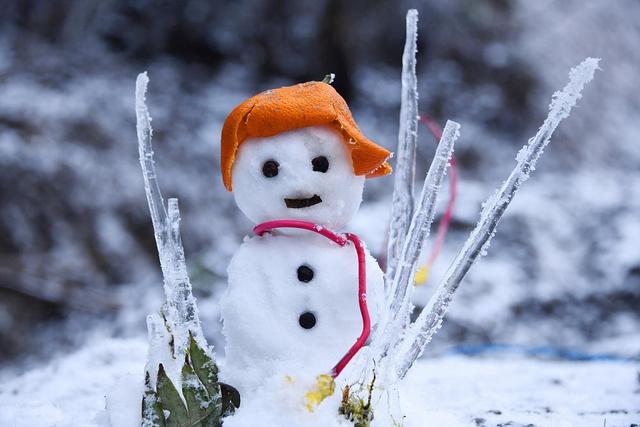 湖北恩施:乡村被冰雪覆盖 小雪人呆萌可爱