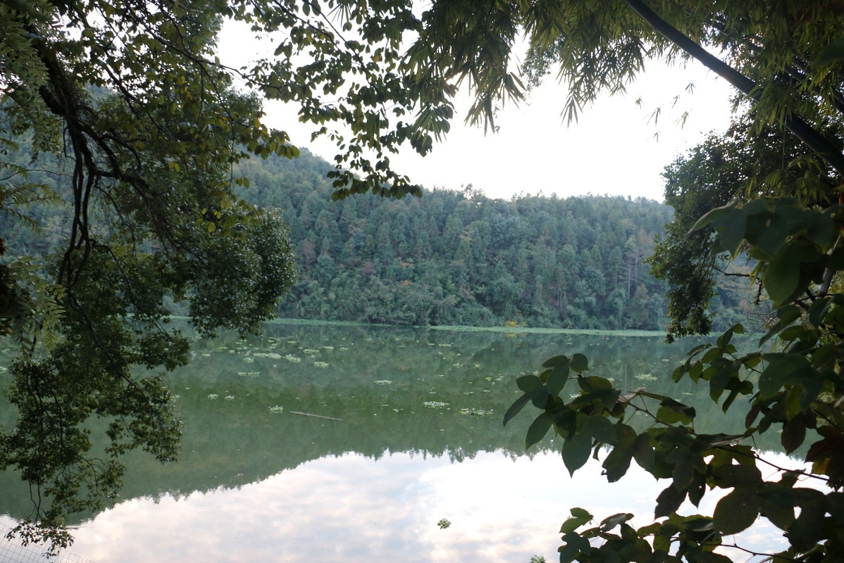 记者手记| 走访大西坝村：这个地方望得见山，看得见水，记得住乡愁