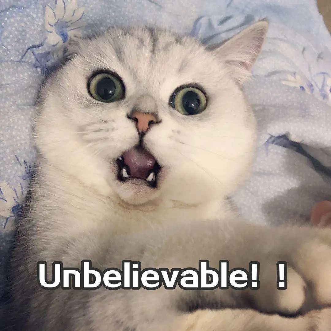 吓人！厦门一女子半夜醒来感觉床在晃，还有脚步声，一个动作救了她休闲区蓝鸢梦想 - Www.slyday.coM