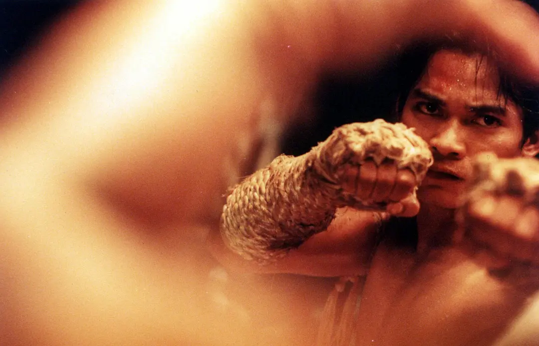 泰拳的生猛,第一次在动作片里感受到,膝顶肘击看着都疼|拳霸|托尼贾