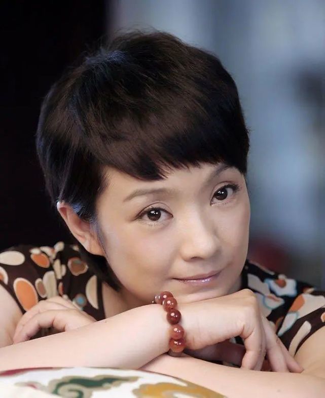 分得24亿财产的王海燕!为何痴情二婚张嘉译,还要与他携手余生?