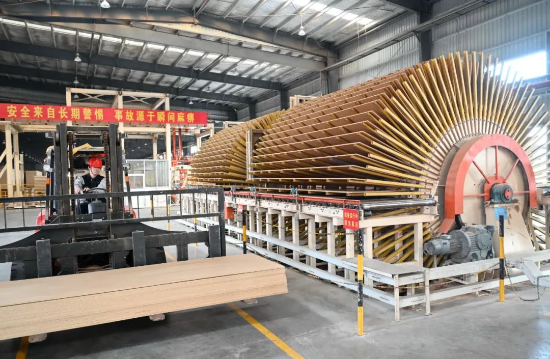 图片来源/新华社