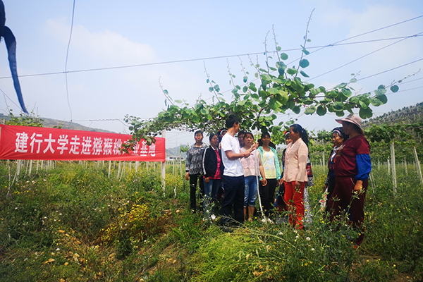 图为建行大学邀请农业专家走进贵州六盘水猕猴桃产教融合实训基地，为农民开展特色产业主题培训。