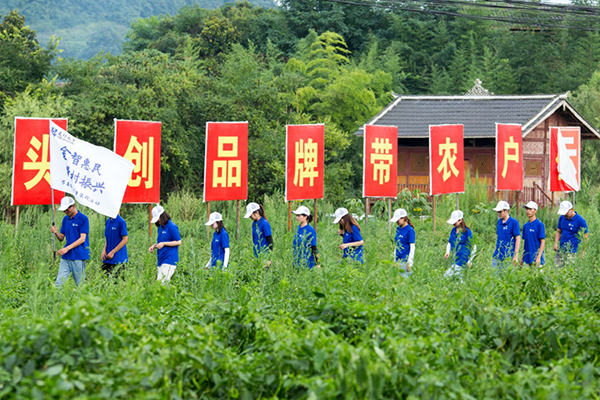 金智惠民根植新时代大地 融智赋能砥砺新金融实践