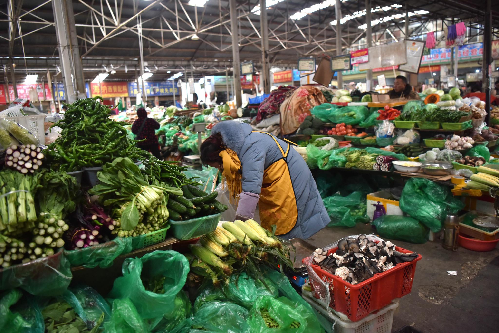 数说宝"藏"丨年产77万吨!西藏人民吃菜不再难