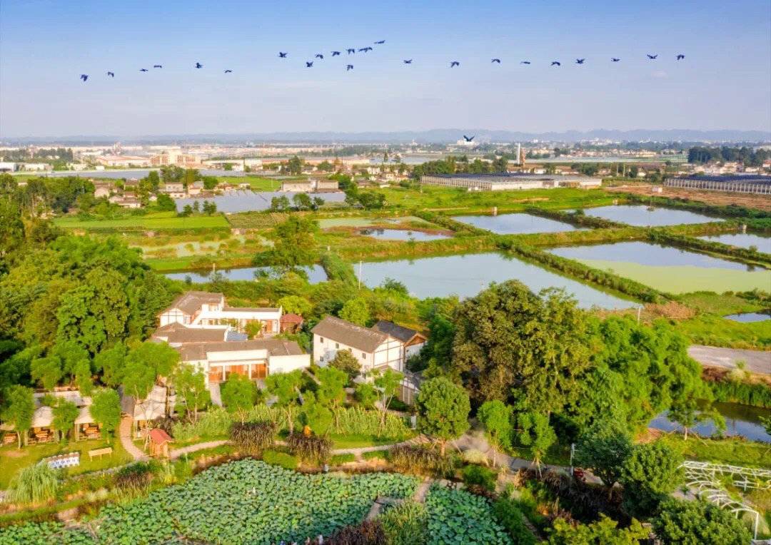 新闻搜索_新浪搜索_新浪网