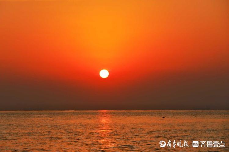 情报站|旭日东升!日照灯塔公园太阳升起朝气蓬勃,霞光万道