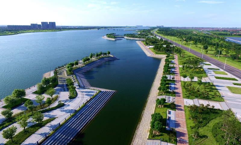 潍坊滨海:昔日"盐碱白"今朝"生态绿"