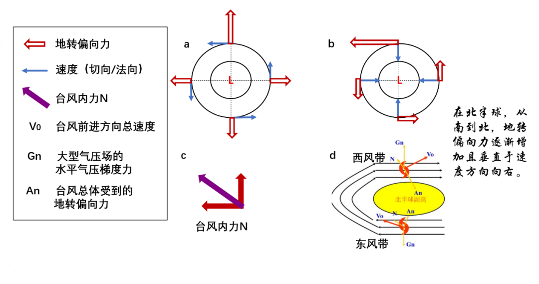 台风为什么会打转,难道是因为迷了路?__财经头条