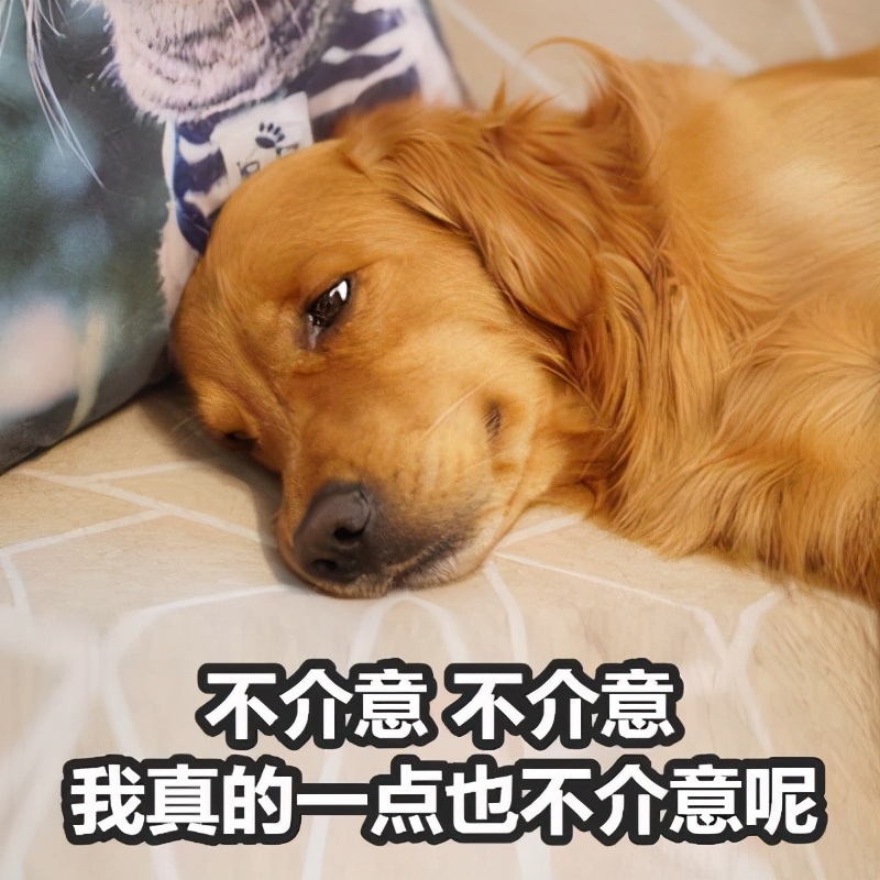 你是不是早就在外面有别