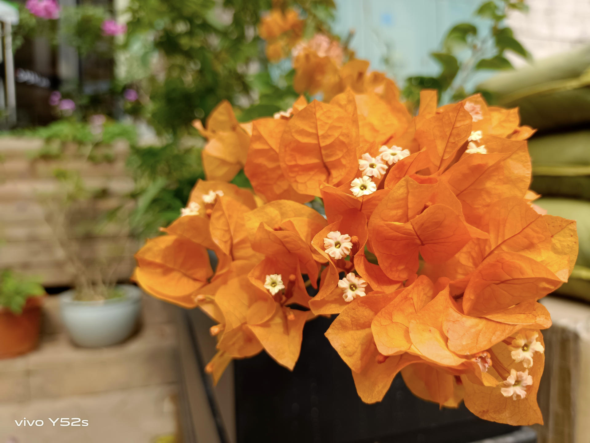 高颜值高像素高配置vivoy52s实力上市