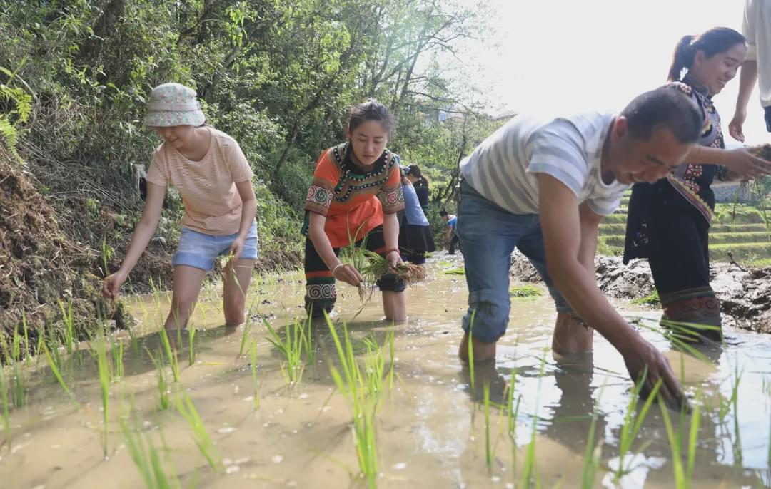 乐了游客,富了村民!云南世博集团"景带村"旅游扶贫赋能乡村