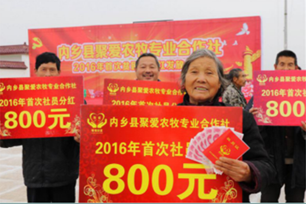 图为2016年9月20日，内乡县聚爱农牧专业合作社暨国开行扶贫贷款合同签字仪式成果举行，内乡贫困户喜领首次分红。