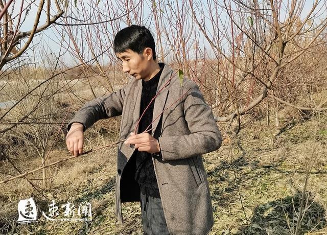 和葡萄架下带着"叔伯"发家致富的陈建鑫不同,家住泗阳县卢集镇薛嘴村