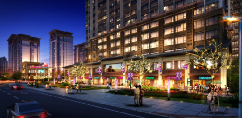 （项目示意图）