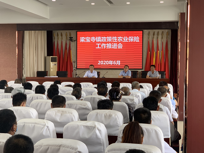 山东嘉祥县大豆收入保险县域覆盖项目连续两年结硕果