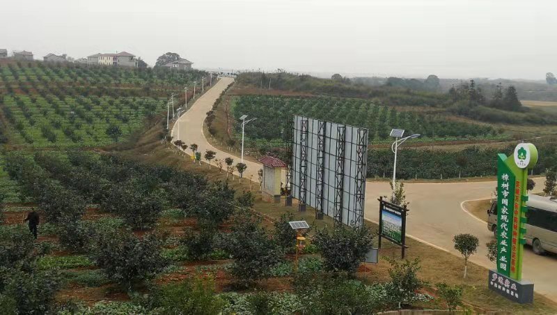 【决胜全面小康】药乡飞来“金凤凰” 农民土地入股种药材