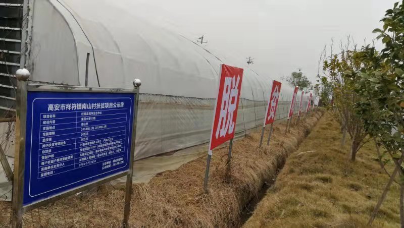 【决胜全面小康】江西高安：南山村实现从省级贫困村到美丽乡村的蜕变