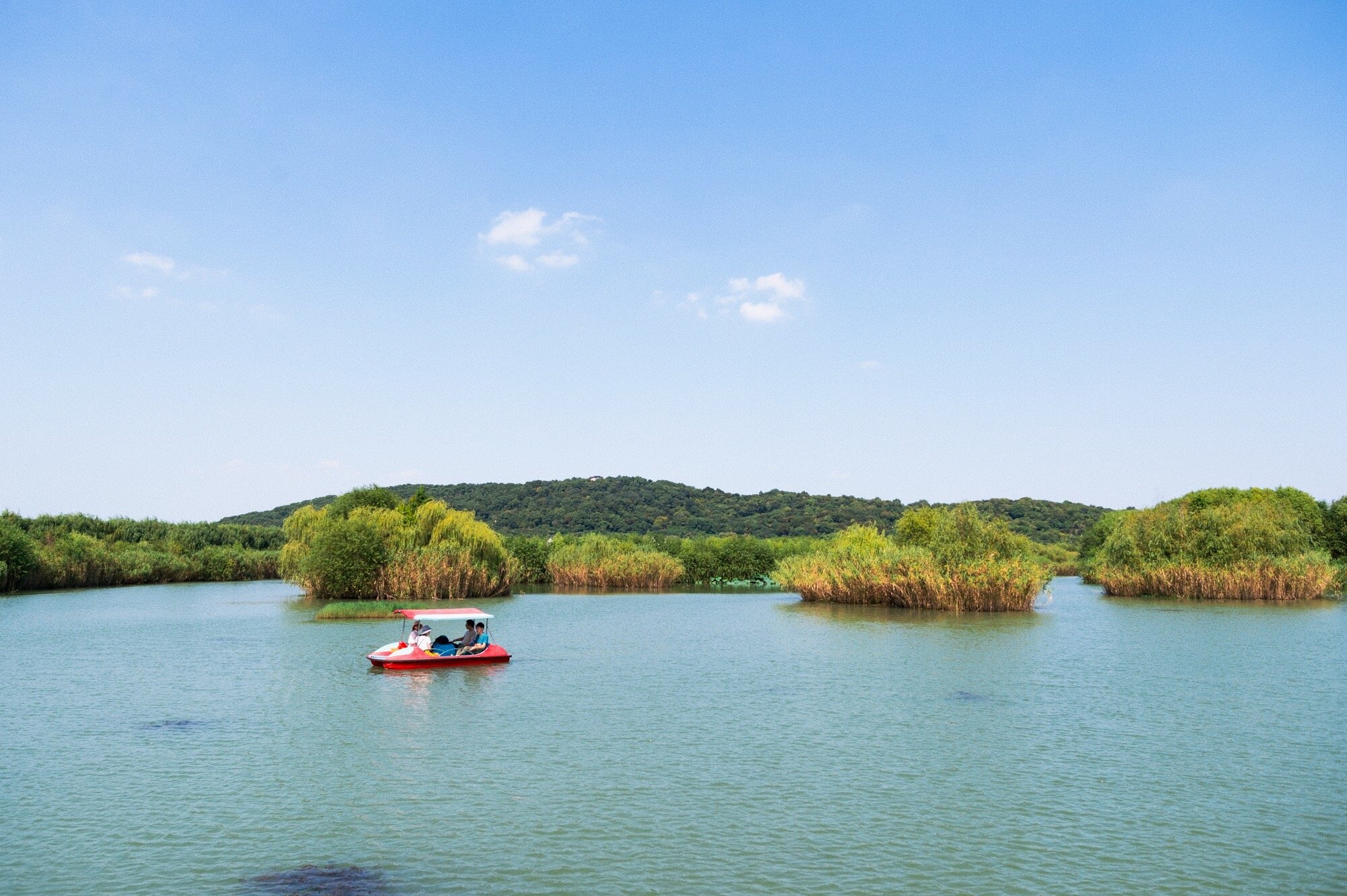 藏在苏州太湖的很美小岛,被誉为"太湖小蓬莱",宛若世外桃源