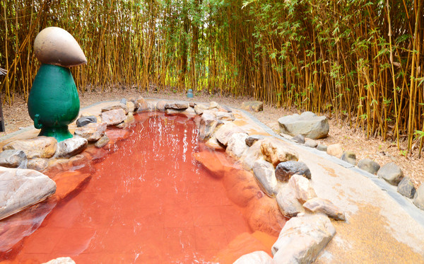 这个冬天,去清远森波拉泡温泉