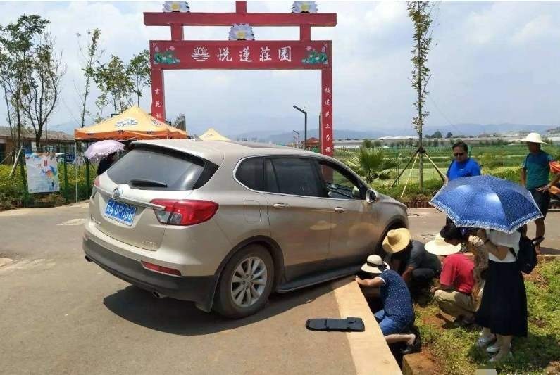 农村新现象:很多人开车回农村过年,为何总是喜欢掉沟里?