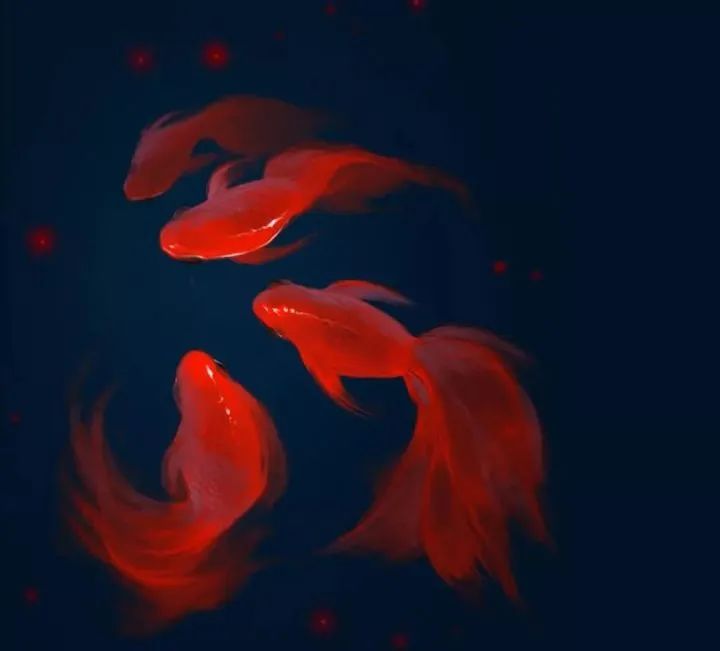 锦鲤保佑留言的宝贝全部显灵各省份统考大军前来集合啦