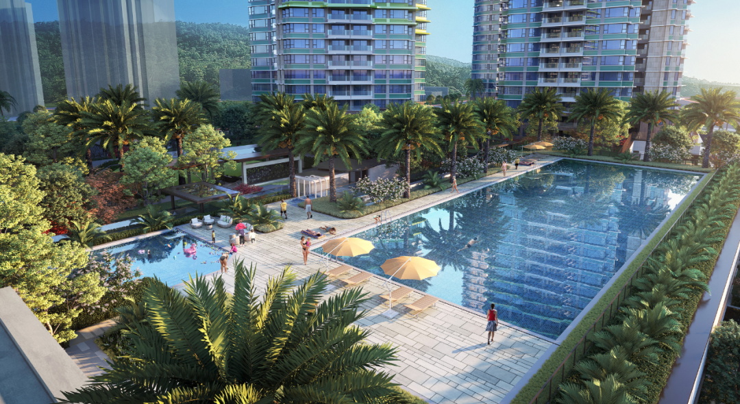 ▲户外泳池效果图