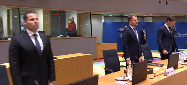 右起第二位为马托维奇，欧洲理事会视频截图
