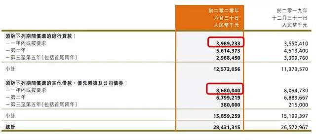 图片来源：新力控股半年报