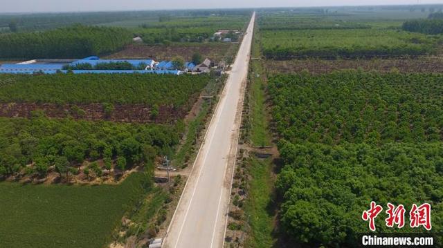 图为航拍河南省漯河市临颍县胡桥村苗木基地.漯河市委宣传部供图
