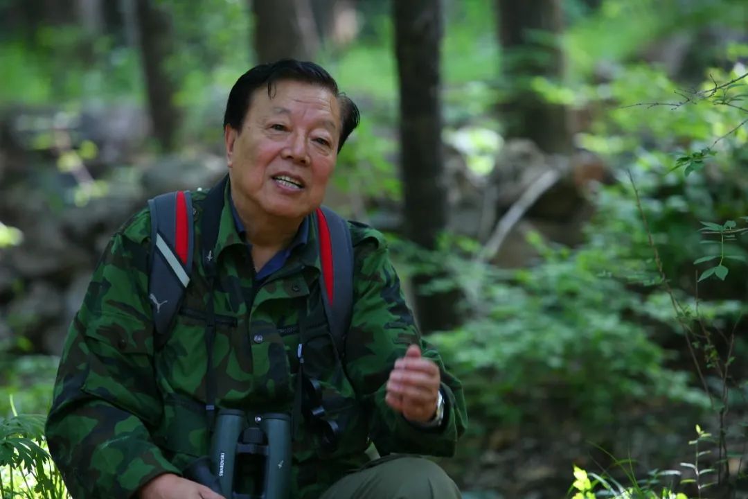 东师桃李郑光美院士鸟类研究的耕耘者