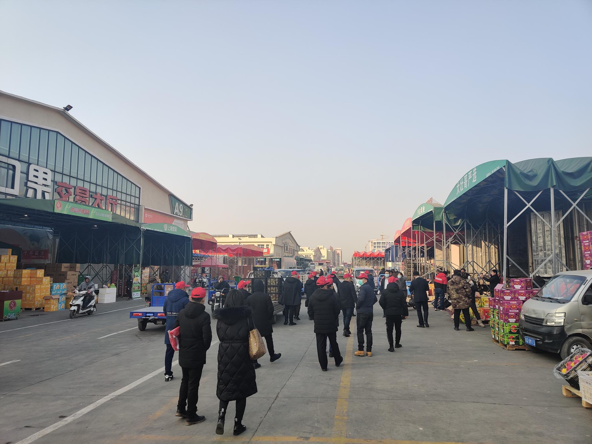 常德媒体代表,农批商家组团考察河北新发地集团,掀农批市场投资热潮