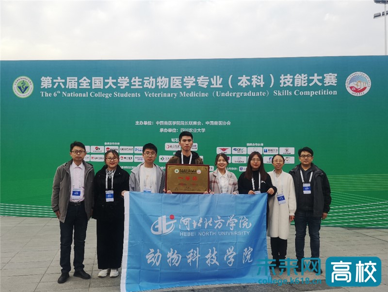 动物医学专业大排名_“冷门”专业焕发青春动物医学人才热销大城市