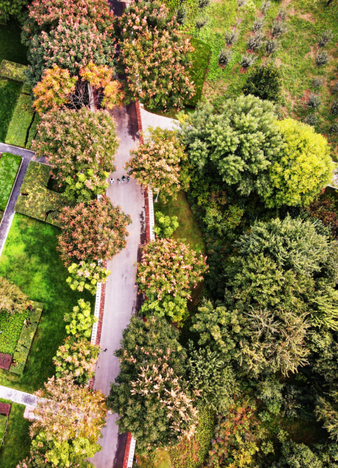 中国城市排名2020郑_2020年中国296个城市营商环境报告:郑州排17位