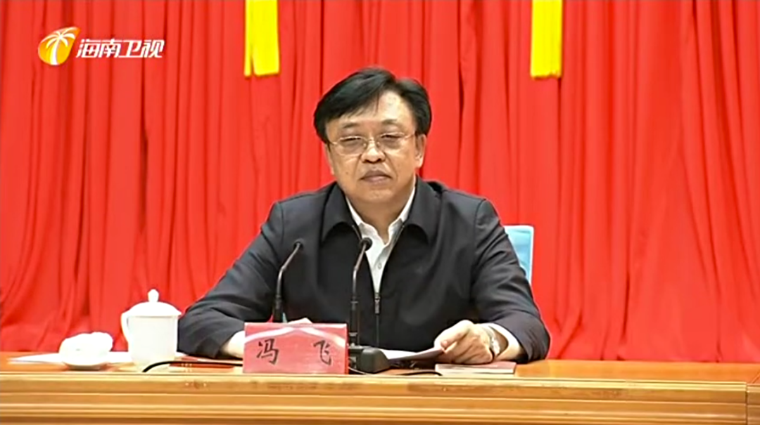 冯飞 截图来源：《海南新闻联播》